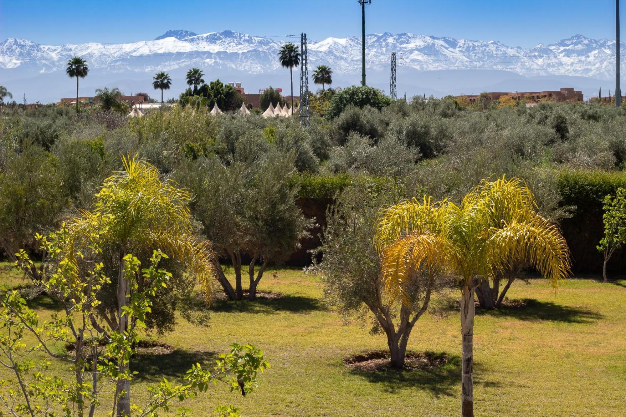 Villa Jardins D'Isa Lagouassem Exteriér fotografie