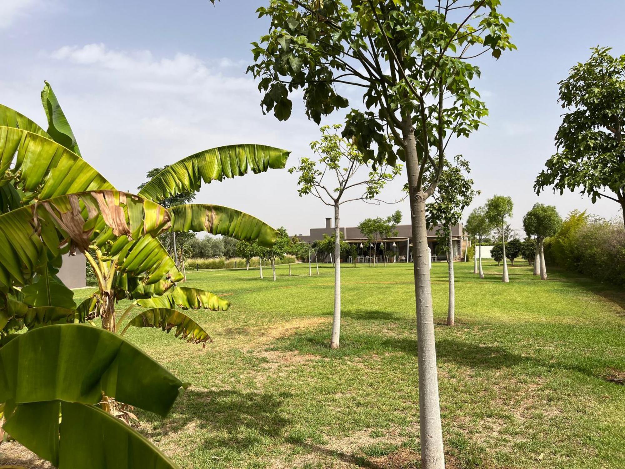 Villa Jardins D'Isa Lagouassem Exteriér fotografie